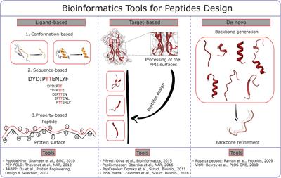 Bioinformatics and Biosimulations as Toolbox for Peptides and <mark class="highlighted">Peptidomimetics</mark> Design: Where Are We?
